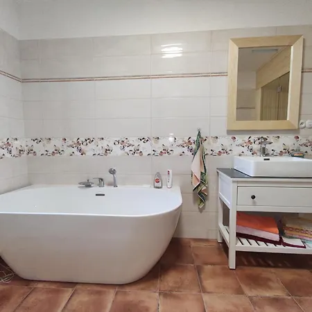 Tatil Evi U Dudacku Volyne